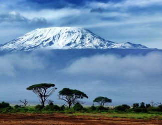 kilimanjaro